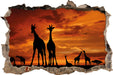 Afrika Giraffen im Sonnenuntergang  3D Wandtattoo Wanddurchbruch