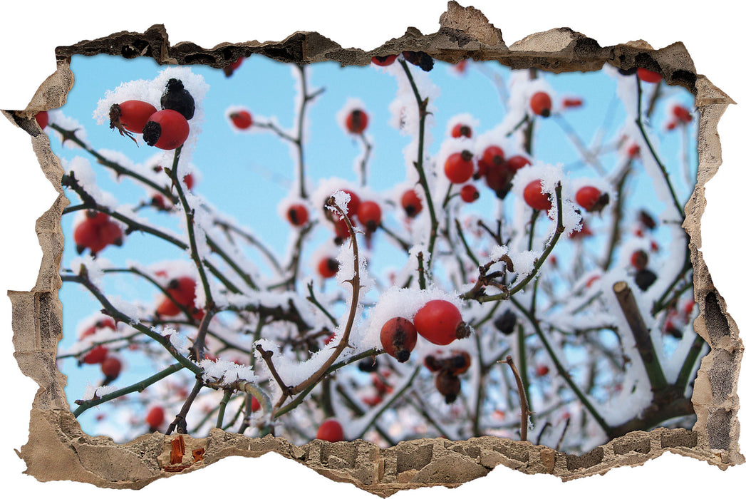 Pixxprint Hagebuttenstrauch mit rot, 3D Wandtattoo