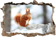 Eichhörnchen im Schnee  3D Wandtattoo Wanddurchbruch