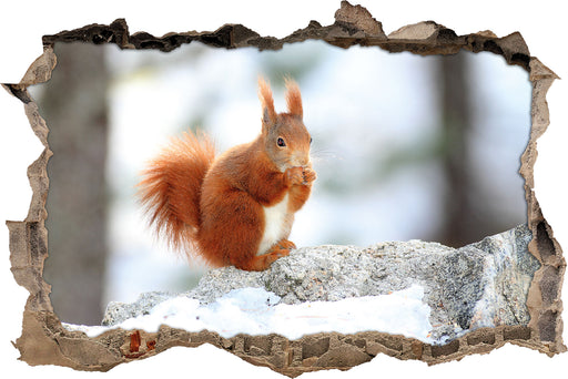 Eichhörnchen im Schnee  3D Wandtattoo Wanddurchbruch