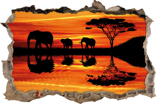 Afrika Elefant in Sonnenschein 3D Wandtattoo Wanddurchbruch