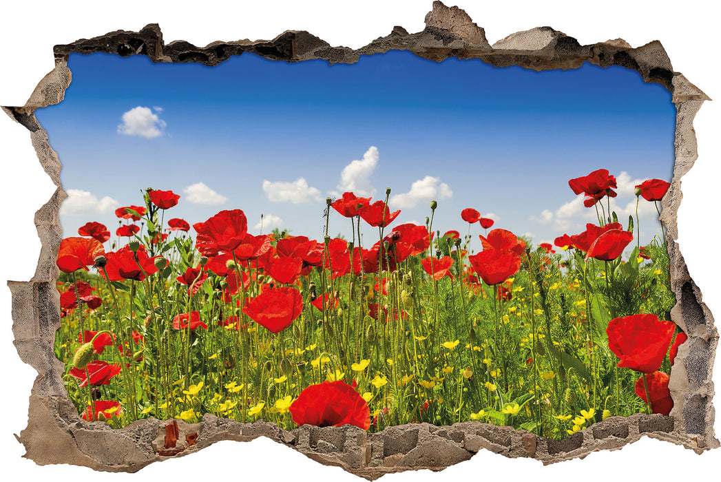 Pixxprint Mohnwiese, 3D Wandtattoo