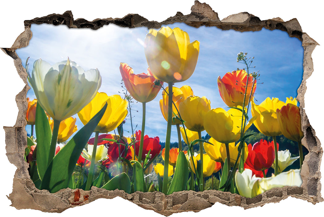 Pixxprint Wiese Froschperspektive, 3D Wandtattoo