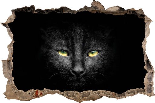Dark schwarzes Katzengesicht  3D Wandtattoo Wanddurchbruch