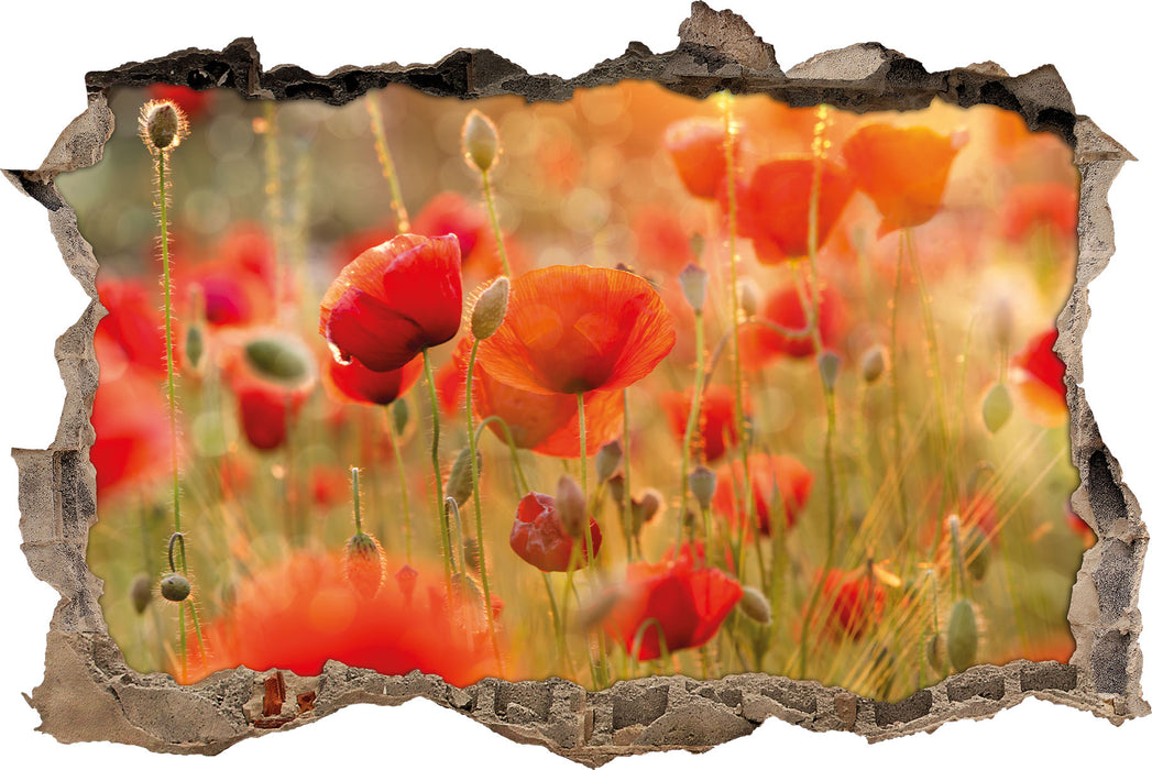 Pixxprint Rote Mohnwiese, 3D Wandtattoo