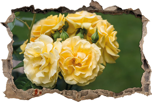 Weiß gelbe Rose Blumen  3D Wandtattoo Wanddurchbruch