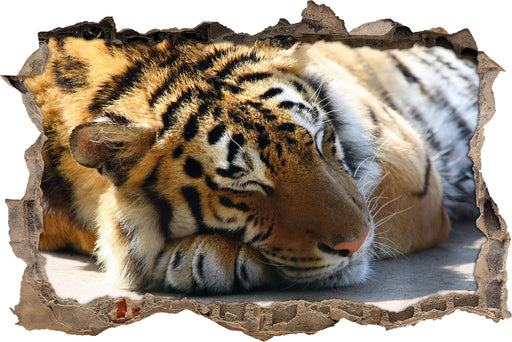 Verschlafener Tiger  3D Wandtattoo Wanddurchbruch