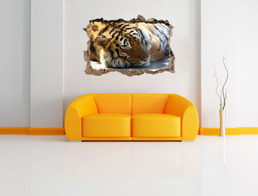 Verschlafener Tiger 3D Wandtattoo Wanddurchbruch Wand