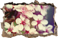 Kirschblüten Retro  3D Wandtattoo Wanddurchbruch