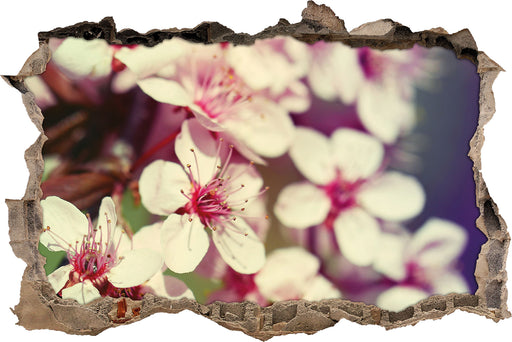 Kirschblüten Retro  3D Wandtattoo Wanddurchbruch