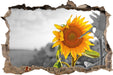 Nahaufnahme einer Sonnenblume 3D Wandtattoo Wanddurchbruch