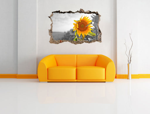 Nahaufnahme einer Sonnenblume 3D Wandtattoo Wanddurchbruch Wand