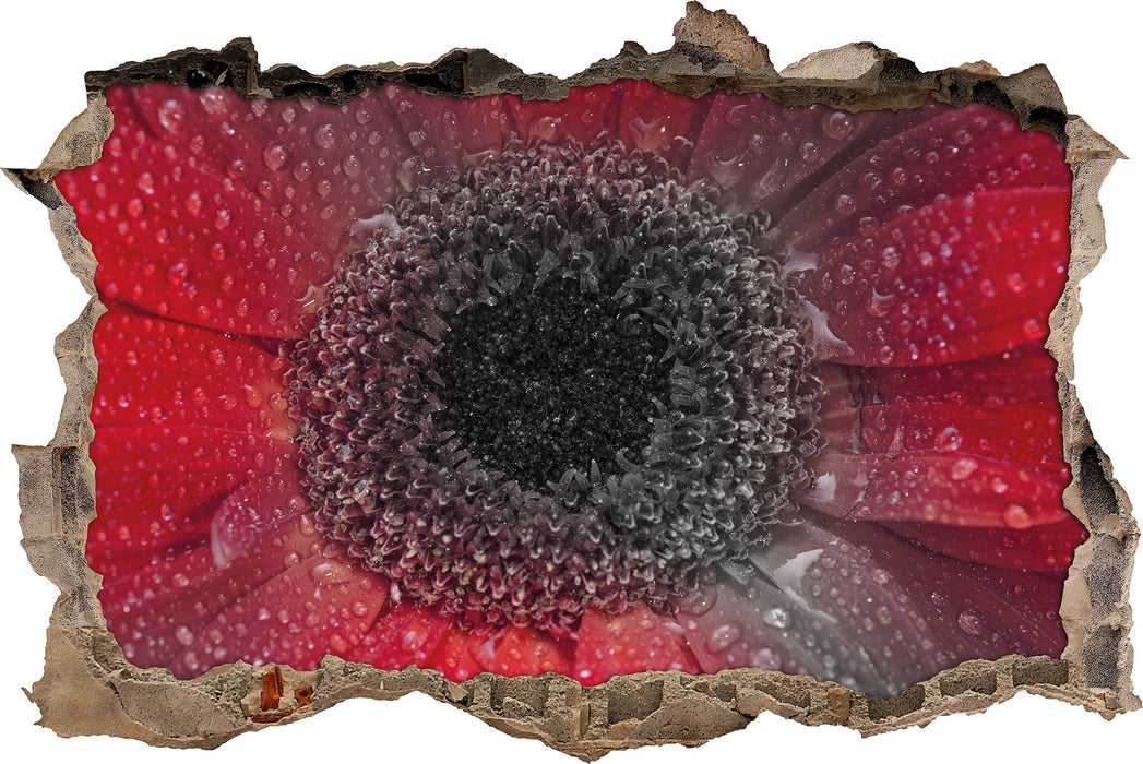 Pixxprint Rote Gerbera mit Wassertropfen, 3D Wandtattoo