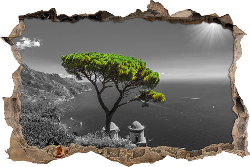Baum am Mittelmeer 3D Wandtattoo Wanddurchbruch