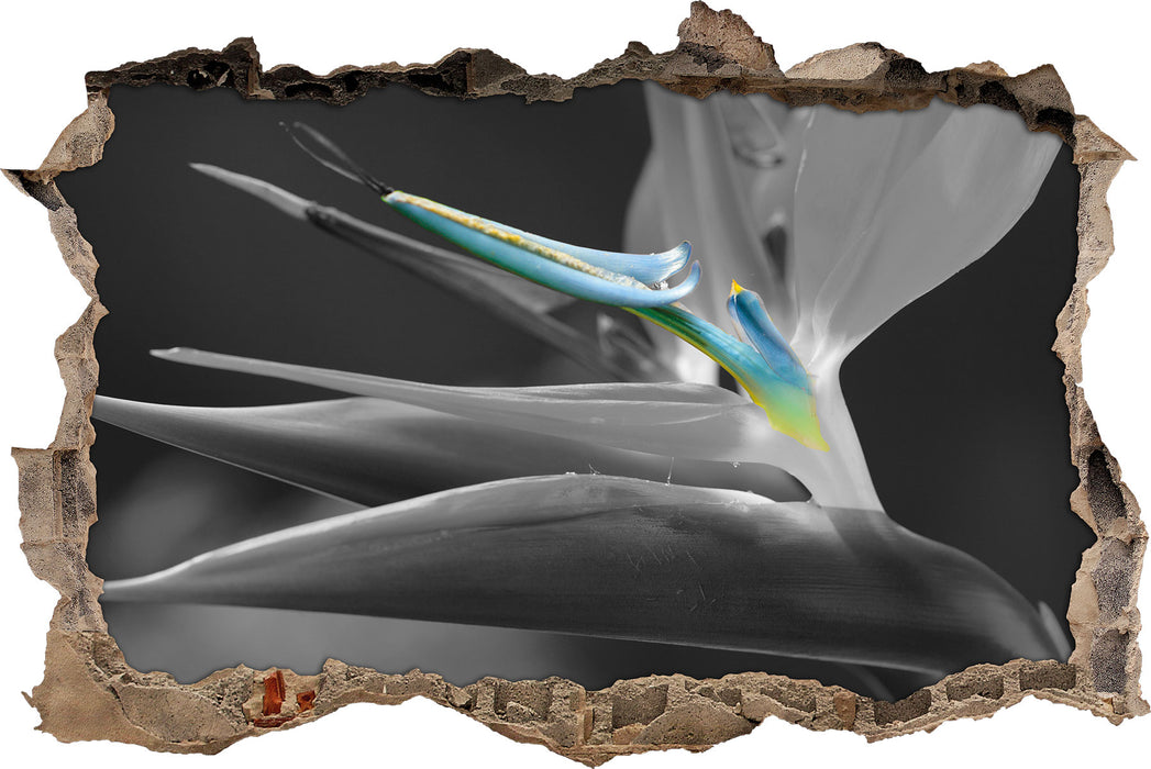 Pixxprint wunderschöne tropische Blume, 3D Wandtattoo