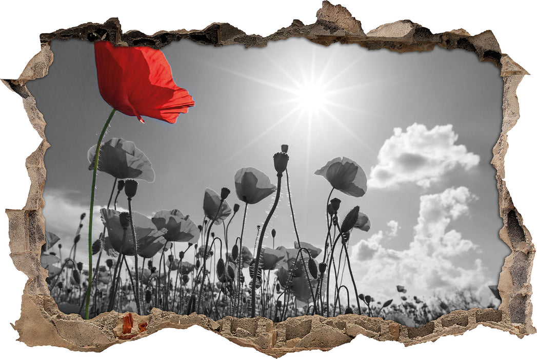 Pixxprint Mohnblumenfeld im Sommer, 3D Wandtattoo