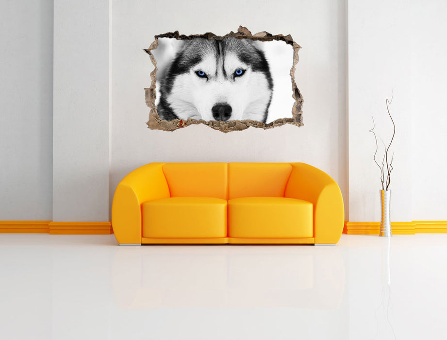 Husky mit blauen Augen 3D Wandtattoo Wanddurchbruch Wand