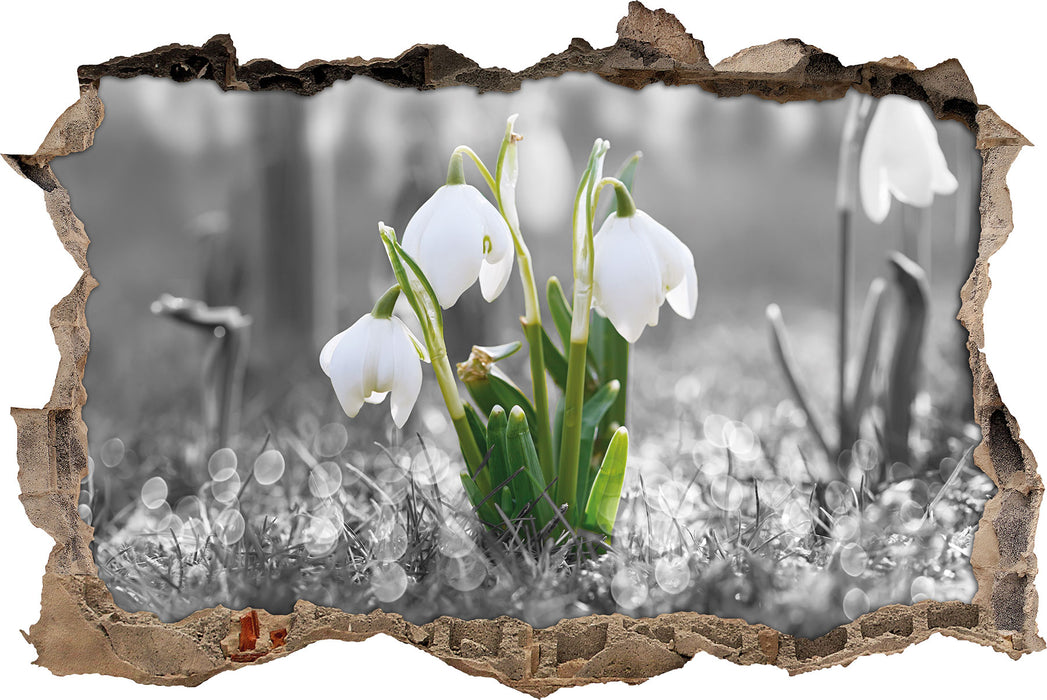 Pixxprint Schneeglöckchen im Morgentau, 3D Wandtattoo