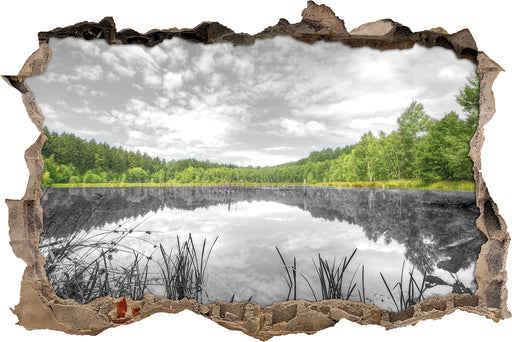 traumhafter See in grünem Wald 3D Wandtattoo Wanddurchbruch