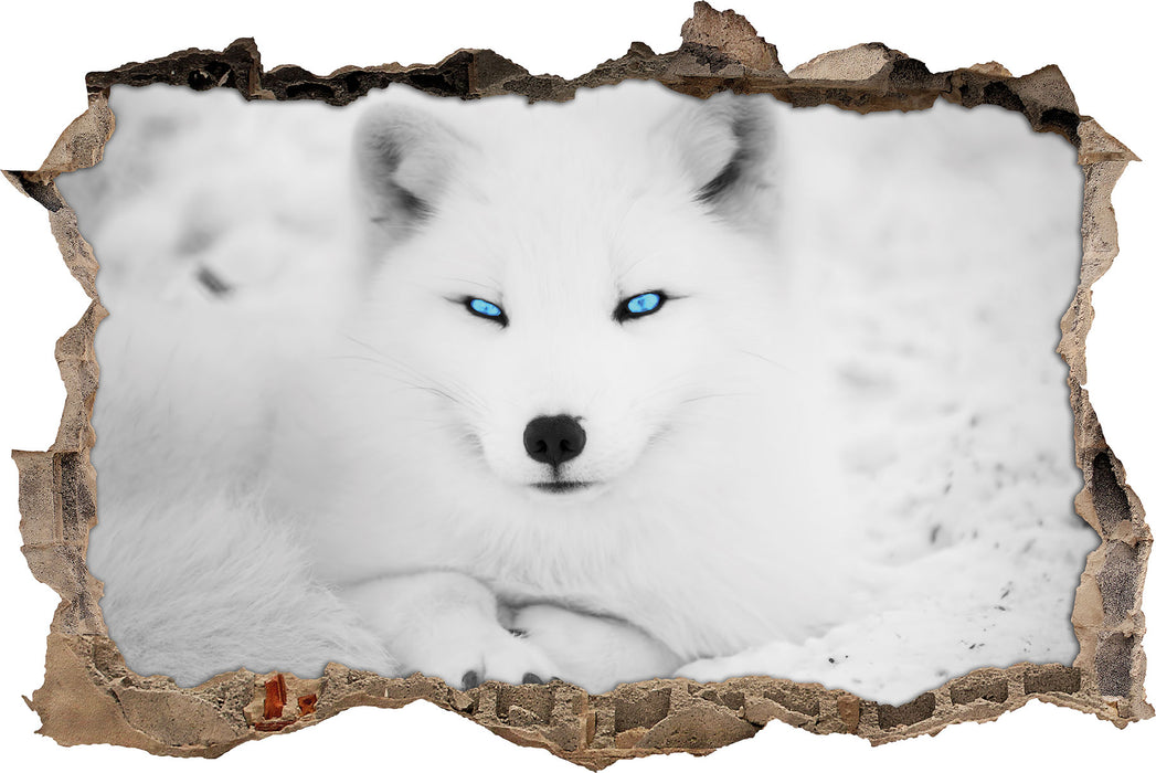 Pixxprint Polarfuchs mit strahlenden Augen, 3D Wandtattoo