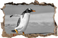 watschelnder Pinguin am Strand 3D Wandtattoo Wanddurchbruch