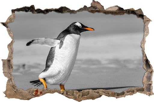 watschelnder Pinguin am Strand 3D Wandtattoo Wanddurchbruch