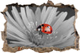 leuchtender Marienkäfer auf Blüte 3D Wandtattoo Wanddurchbruch