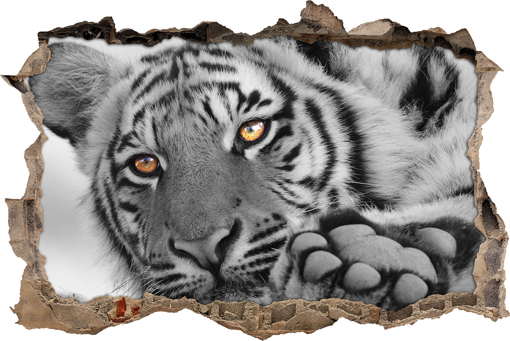 Pixxprint entspannter Tiger, 3D Wandtattoo