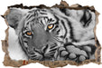 entspannter Tiger 3D Wandtattoo Wanddurchbruch
