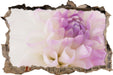 Blüte mit lila Blütenblätter 3D Wandtattoo Wanddurchbruch