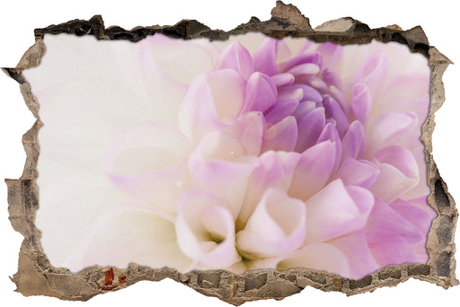 Blüte mit lila Blütenblätter 3D Wandtattoo Wanddurchbruch