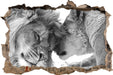 Bezauberndes kuschelndes Löwenpaar 3D Wandtattoo Wanddurchbruch