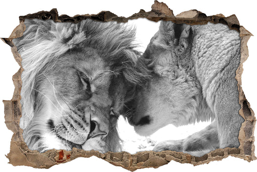 Bezauberndes kuschelndes Löwenpaar 3D Wandtattoo Wanddurchbruch