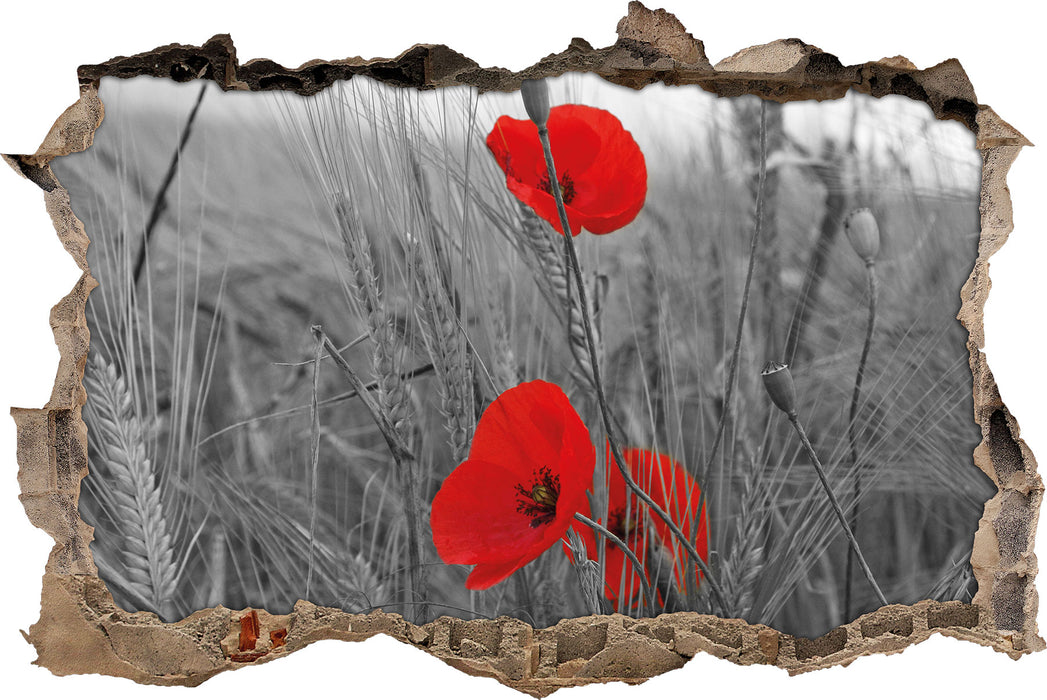 Pixxprint Mohnblumen im Getreidefeld, 3D Wandtattoo