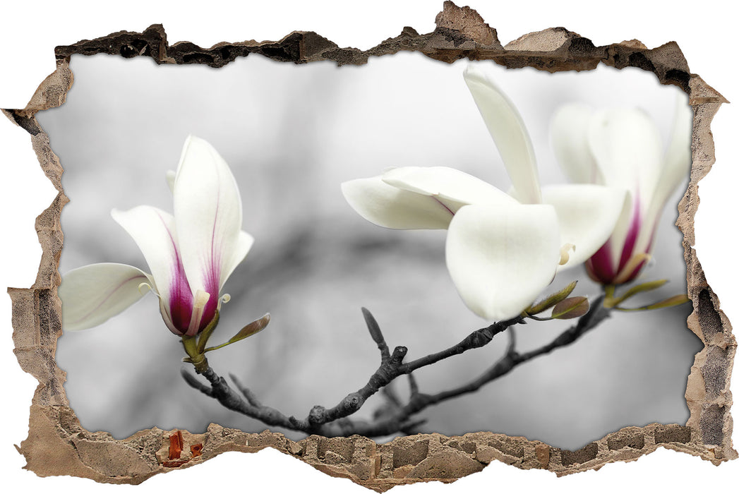 Pixxprint Magnolienblüten, 3D Wandtattoo