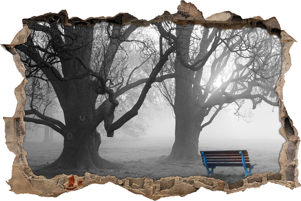 Pixxprint Einsame Bank im Nebel, 3D Wandtattoo