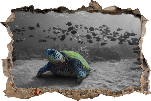 Schildkröte im Ozean 3D Wandtattoo Wanddurchbruch