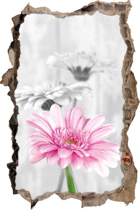 Pixxprint schöne Gerberas bei Tageslicht, 3D Wandtattoo