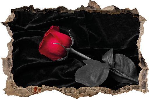 Rose gebettet auf Samt 3D Wandtattoo Wanddurchbruch