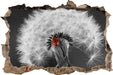 schöner Marienkäfer auf Pusteblume 3D Wandtattoo Wanddurchbruch