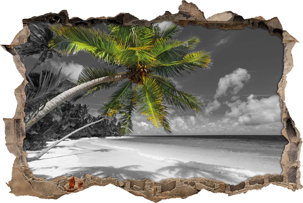 riesige Palme über Strand 3D Wandtattoo Wanddurchbruch
