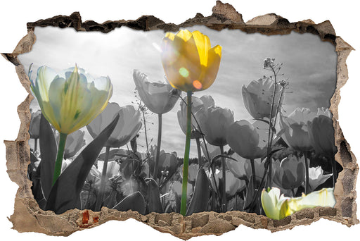 wunderschöne Tulpenwiese 3D Wandtattoo Wanddurchbruch