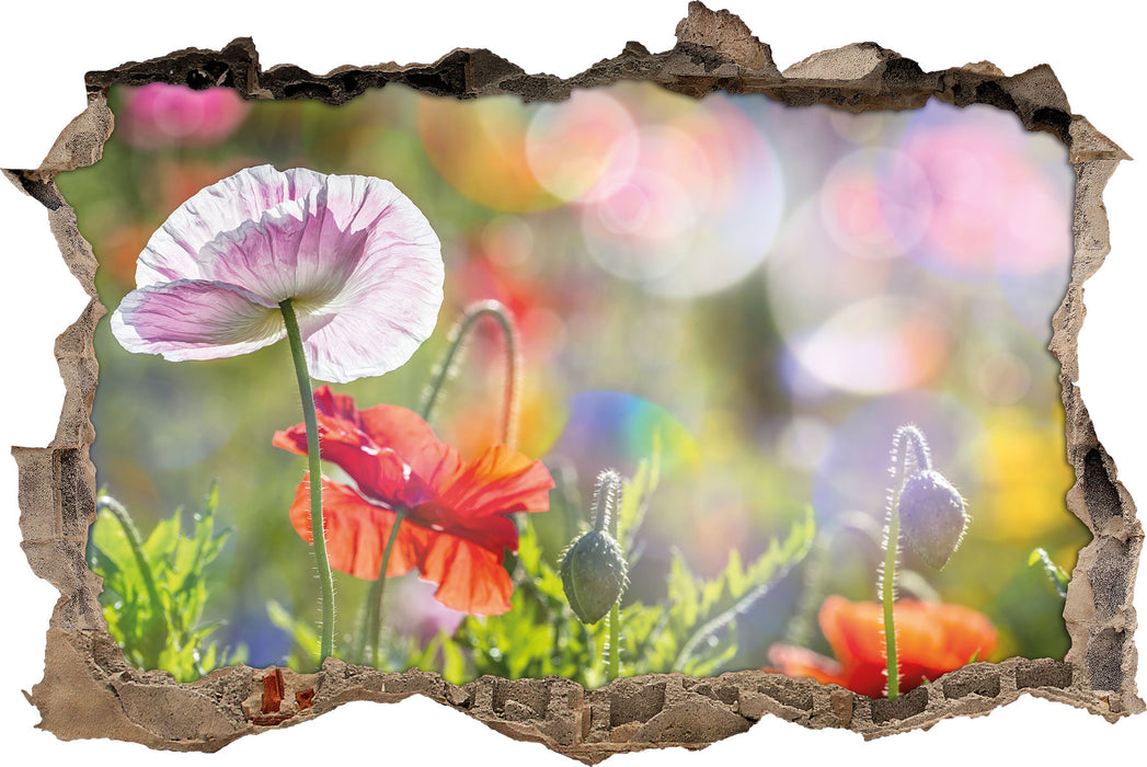 Pixxprint Kalifornischer Mohn Frühling, 3D Wandtattoo