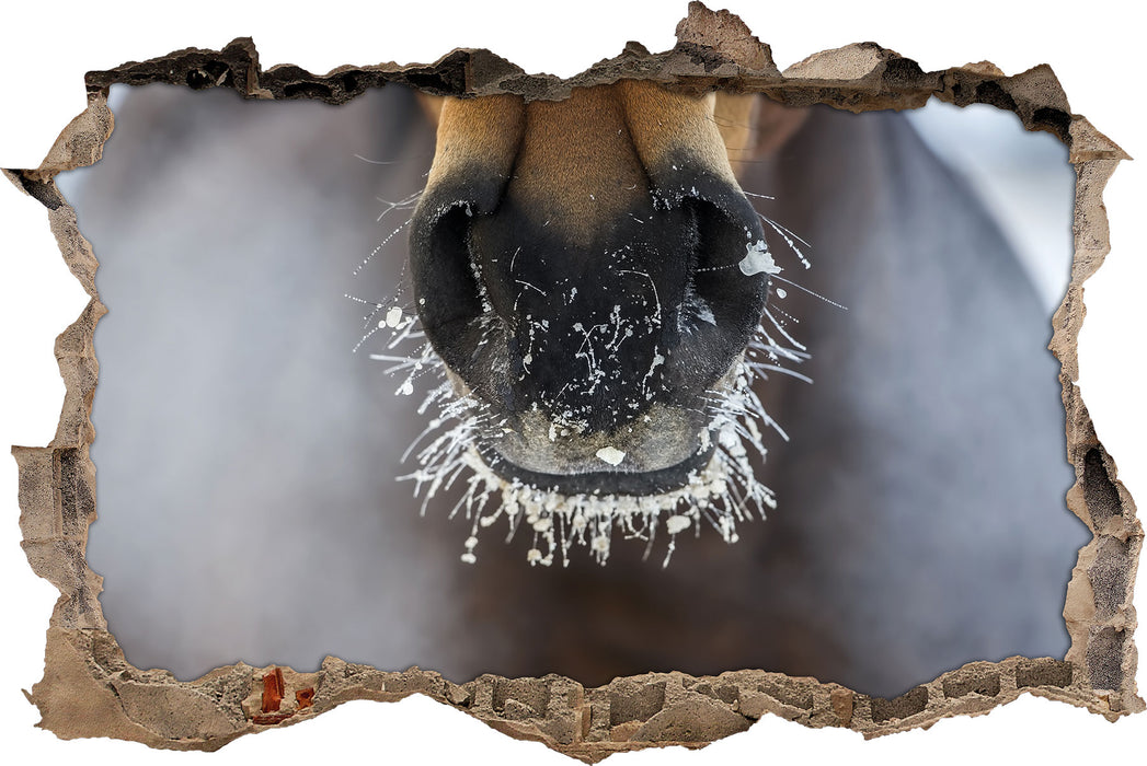 Pixxprint Pferdeschnauze, 3D Wandtattoo