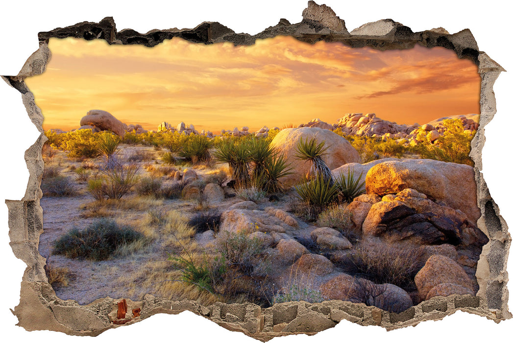 Pixxprint Joshua Wüste im Sonnenuntergang, 3D Wandtattoo