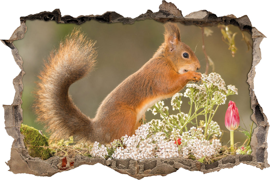 Pixxprint Nagendes Eichhörnchen im Moos, 3D Wandtattoo