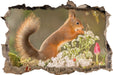 Nagendes Eichhörnchen im Moos  3D Wandtattoo Wanddurchbruch
