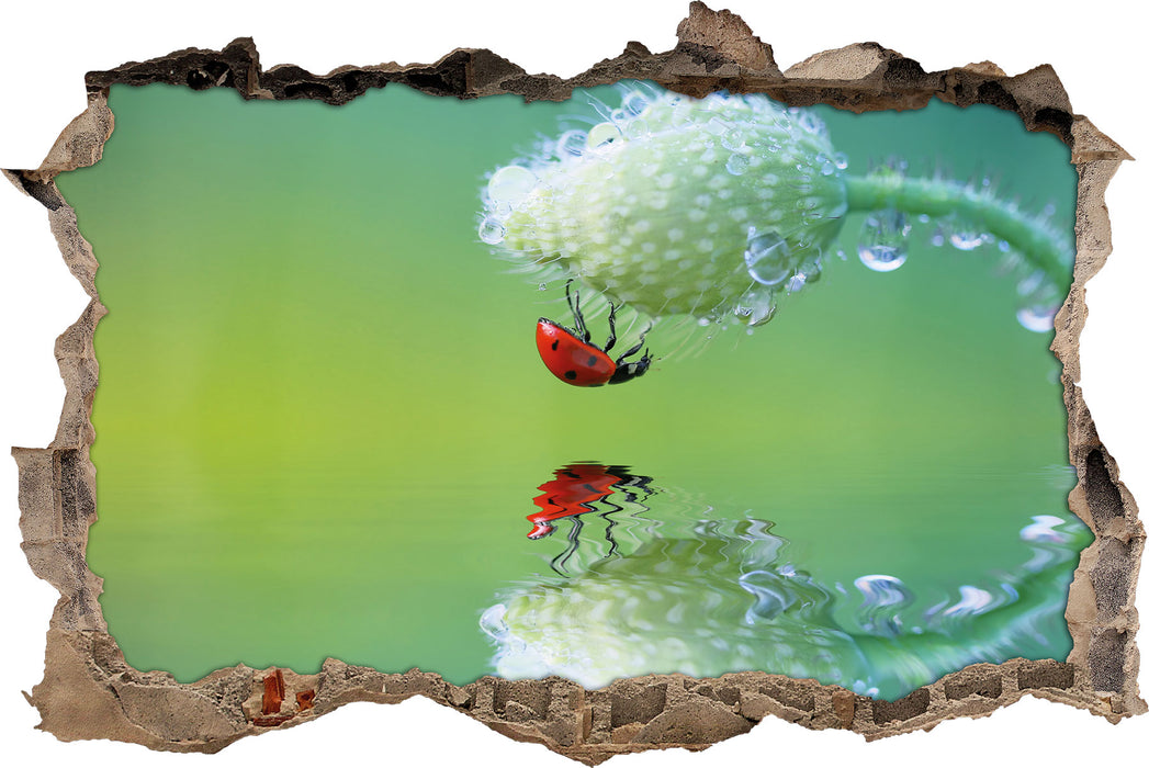 Pixxprint Marienkäfer Mohnblume, 3D Wandtattoo