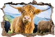 Blick einer Kuh an der Weide 3D Wandtattoo Wanddurchbruch