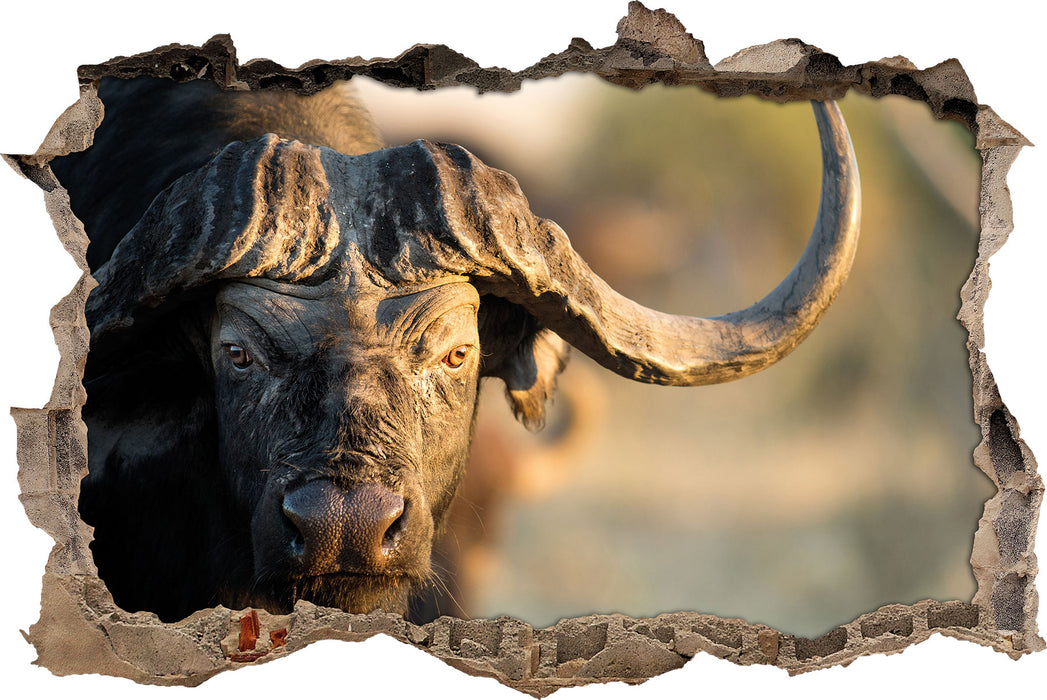 Pixxprint Kaffernbüffel mit Hörnern, 3D Wandtattoo